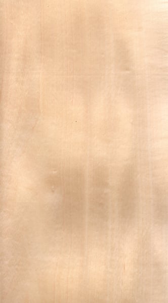 Image of Chestnut (Horse) (34)