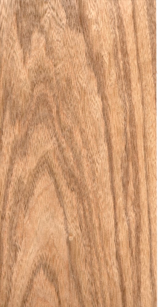 Image of Indian Silver Greywood (47)