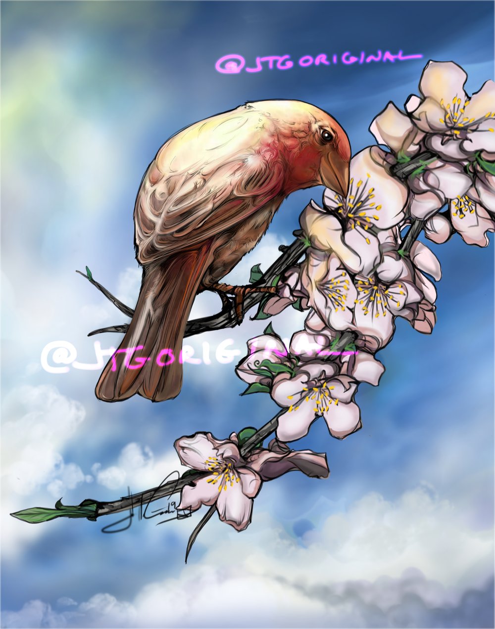 "Purple Finch" HD Airbrushed framed artwork