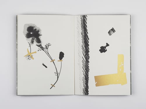 Image of JARDIM BOTÂNICO IX — FLORES, FLOWERS, FIORI, FLEURS — SAM BARON