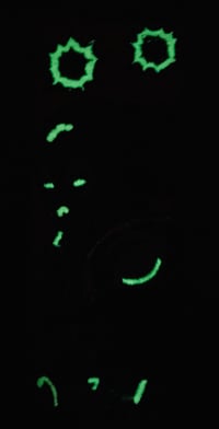 Image 2 of ESSENTRIC