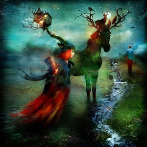 "Nocturnal"  - Alexander Jansson Shop