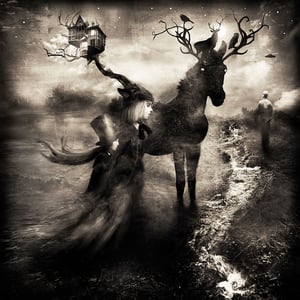 "Nocturnal" - Alexander Jansson Shop