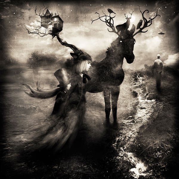 "Nocturnal" - Alexander Jansson Shop
