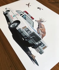 Image 2 of Bounty
