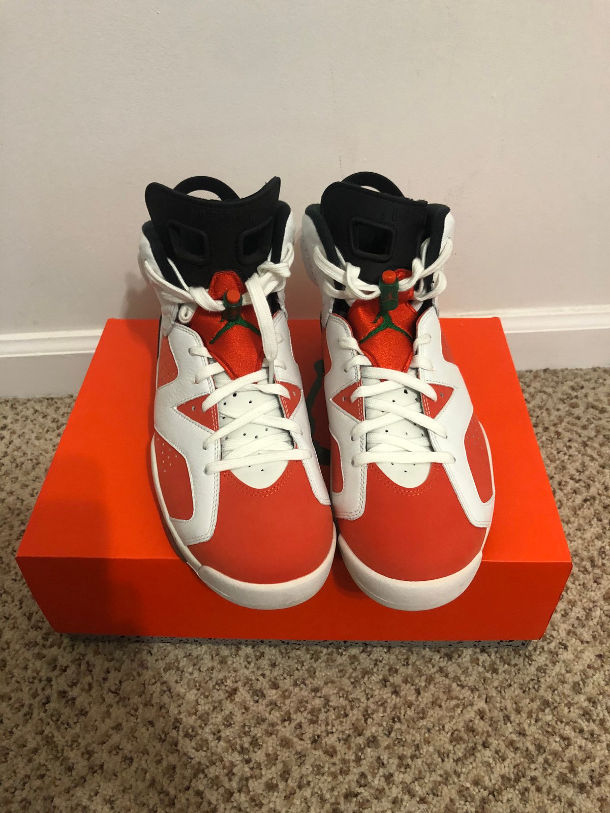 jordan 6 10.5