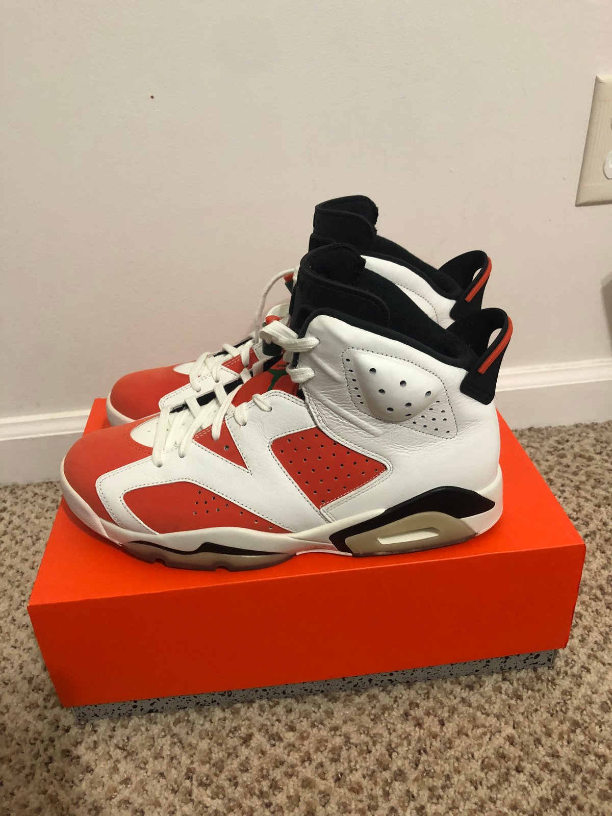 jordan 6 10.5