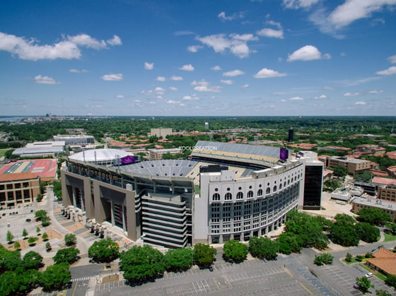 Image of LSU Tigers