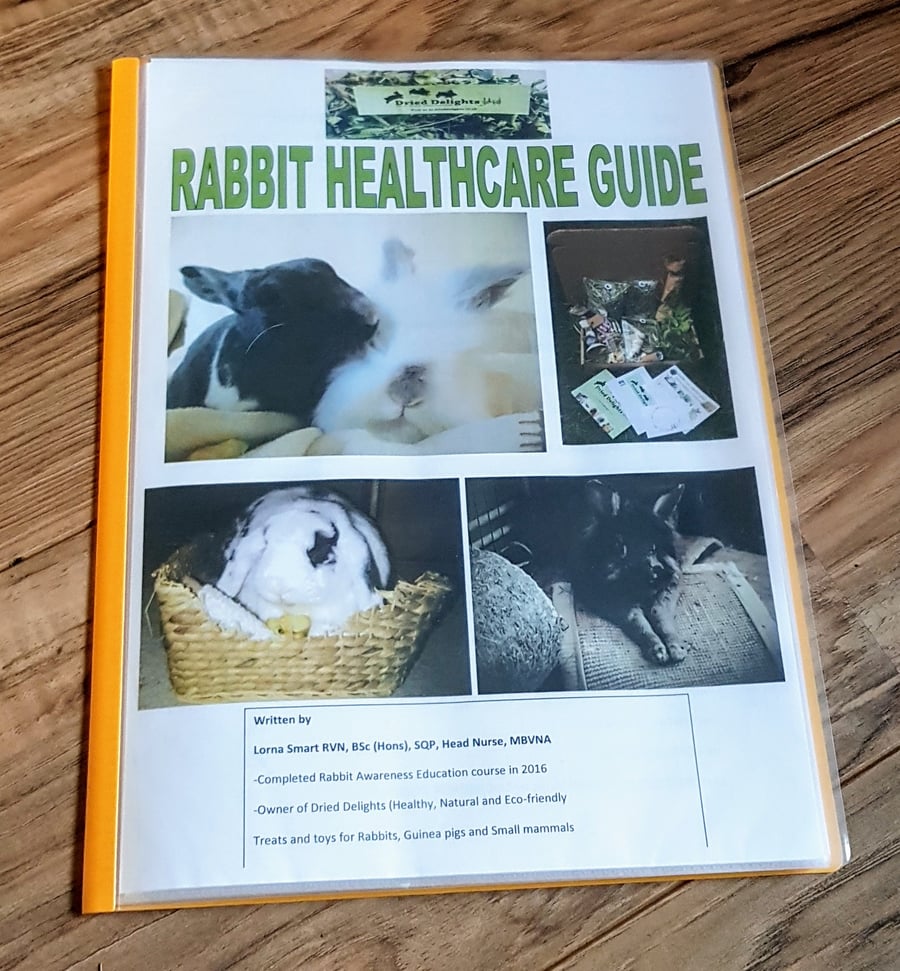 Image of Dried Delights Rabbit Healthcare Guide (written and created by Lorna- Dried delights owner)