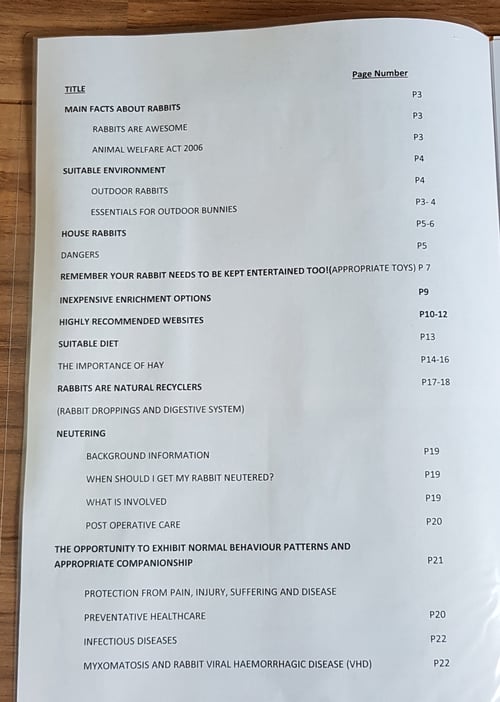 Image of Dried Delights Rabbit Healthcare Guide (written and created by Lorna- Dried delights owner)