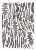 Charcoal Banksia Leaves Fine Art Print