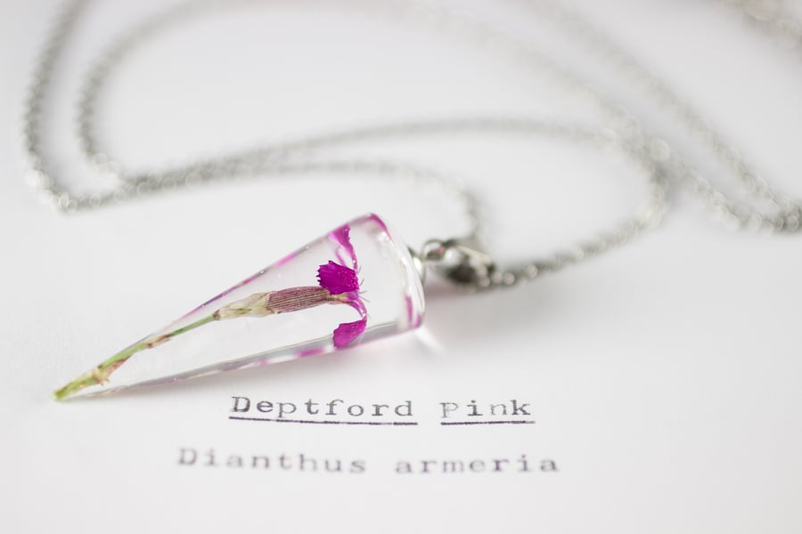 Image of Deptford Pink (Dianthus armeria) - Conical Pendant #2