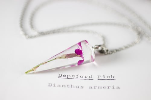 Image of Deptford Pink (Dianthus armeria) - Conical Pendant #2