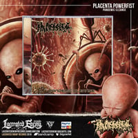 PLACENTA POWERFIST - Pandemic Cleanse CD