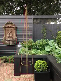 Image 2 of Metal Growing Frames (set of 2)