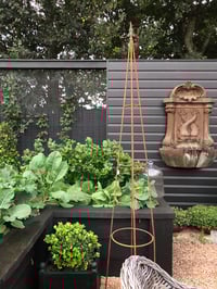 Image 1 of Metal Growing Frames (set of 2)