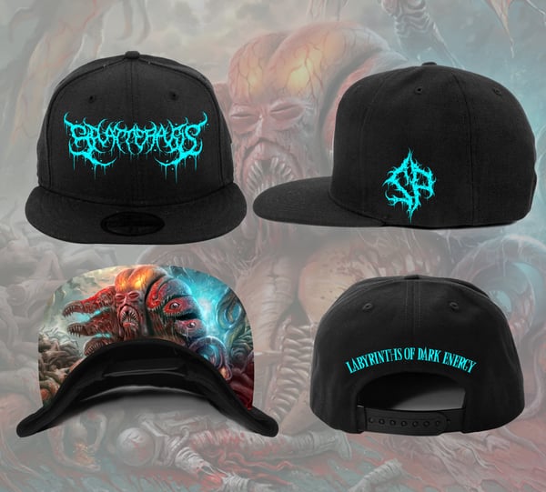 Image of Labyrinths of Dark Energy Snapback