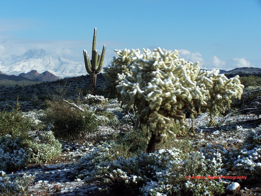 Image of Arizona Snow #2
