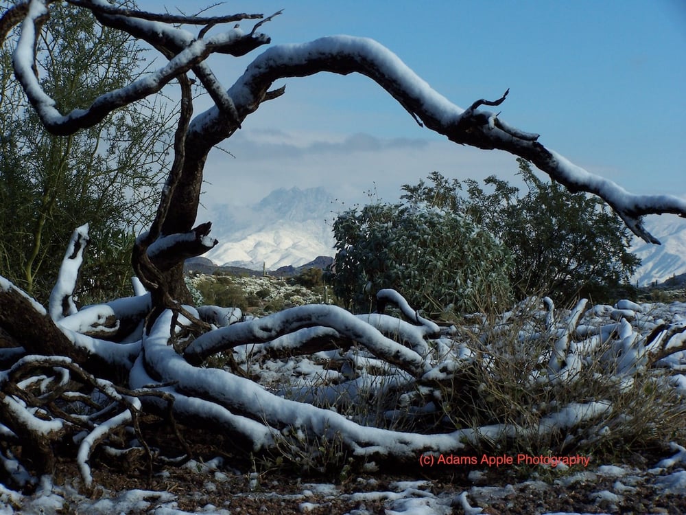 Image of Winter Blanket, Selected as Photo of the Day, Arizona Highways Magazine, January 31, 2022