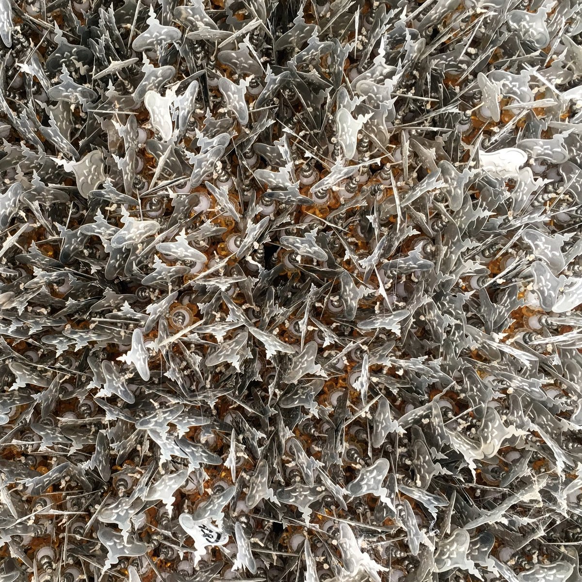 Image of Patterns of Chiang Rai