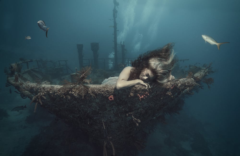 Image of DREAMING