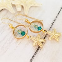 Image 4 of Gold Starfish