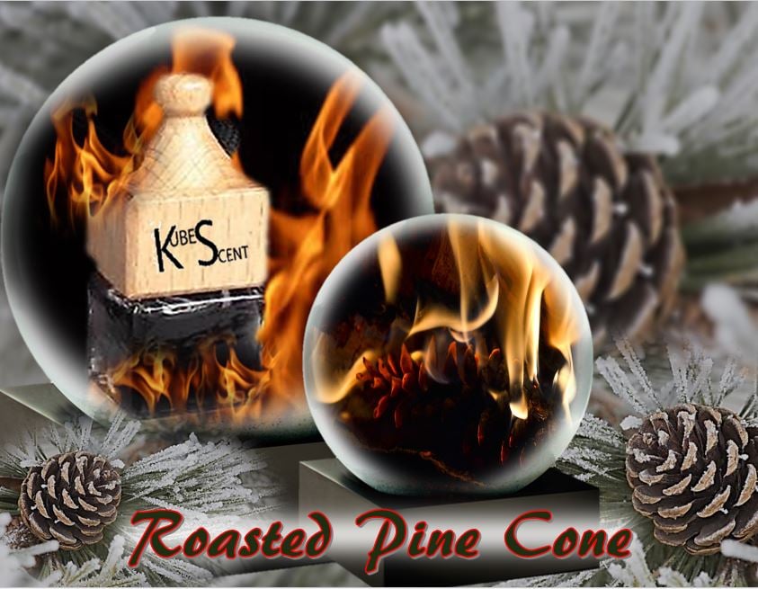 Image of Roasted Pine Cone Car Air Freshener