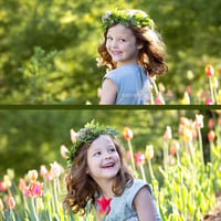 Image 5 of Green Bay Botanical Garden Mini Session