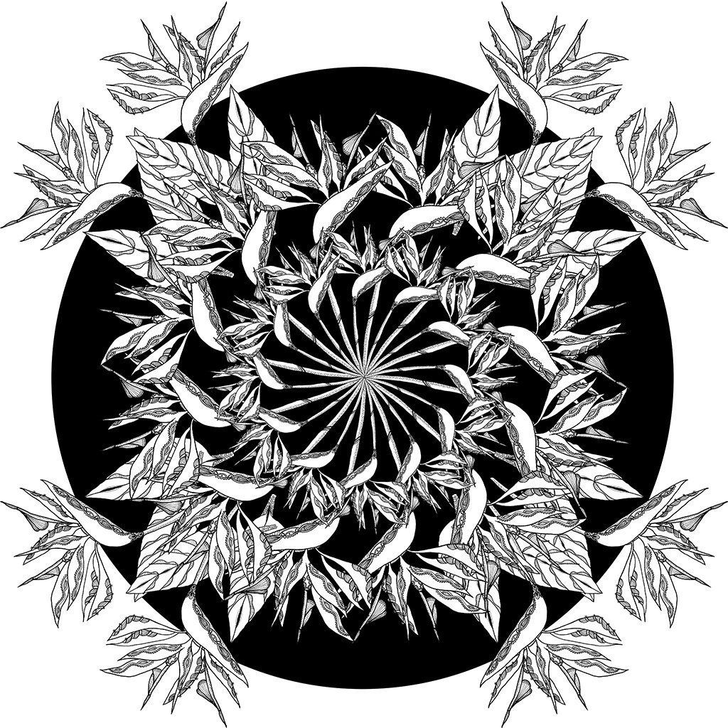 Image of Bird of Paradise (Remixed)