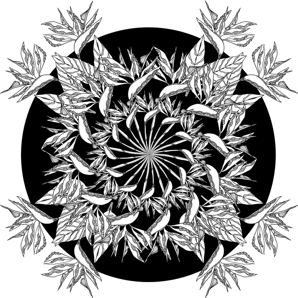 Image of Bird of Paradise (Remixed)