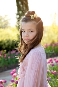 Image 2 of Green Bay Botanical Garden Mini Session