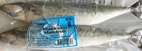 Image of Jack Mackerel