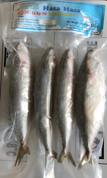 Image of Hasa Hasa ( Indian Mackerel )