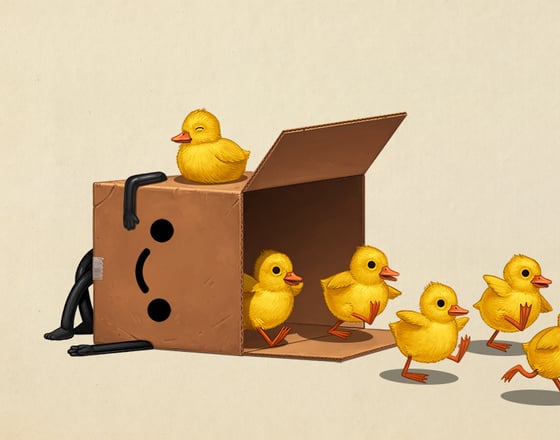 Image of Boxo II (ducks)