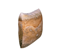 Image 2 of Jupiter Cushion Cover