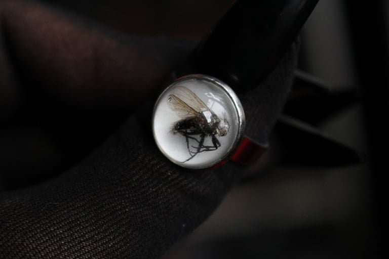 Dead Good naturally deceased Fly ring Image 3