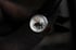 Dead Good naturally deceased Fly ring Image 3