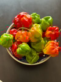 Image 3 of Fresh Red Pepper (A Pack)