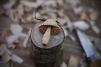 Image 4 of Mushroom 