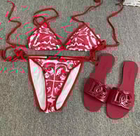 CARDINAL SPICE SET