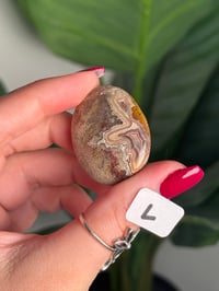 Image 25 of CHOOSE YOUR OWN MEXICAN LACE AGATE PALMSTONES 