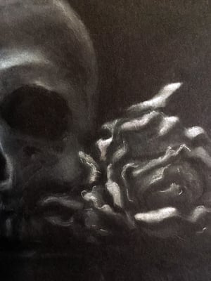 Image of Skull with Roses Study