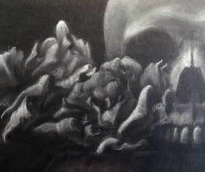 Image of Skull with Roses Study