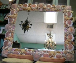 Image of Lions Paw Seashell Mirror