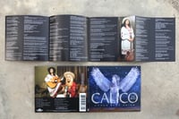 Image 3 of Under Blue Skies (CD) CALICO the band