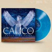 Image 2 of Under Blue Skies (Vinyl) CALICO the band