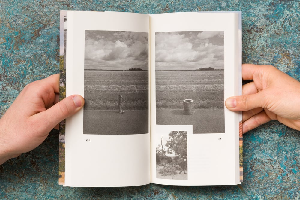 Image of Back in Stock! <br />  My Grandfather’s Tree <br />— Max Lamb