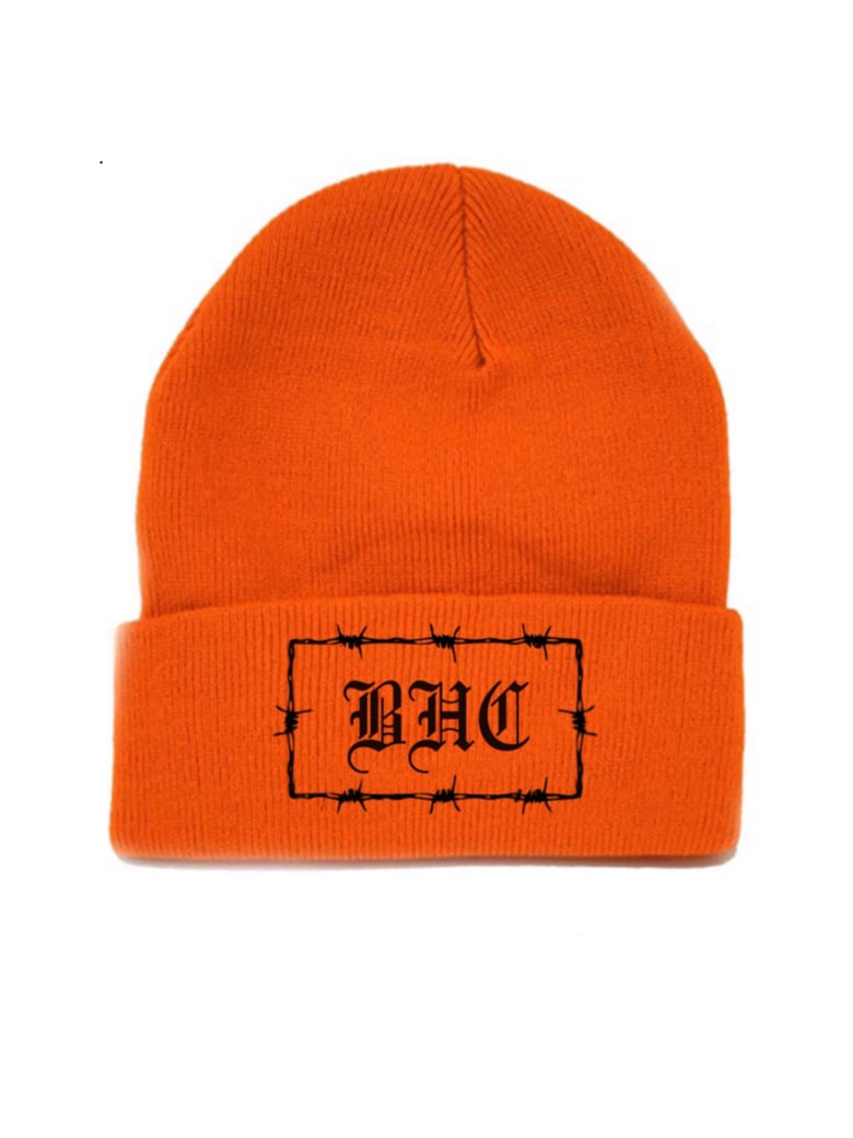 Image of Barbed Beanie