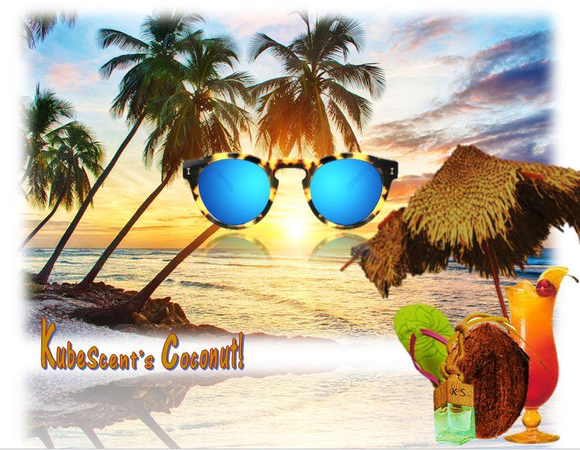 Image of Coconut Car Air Freshener