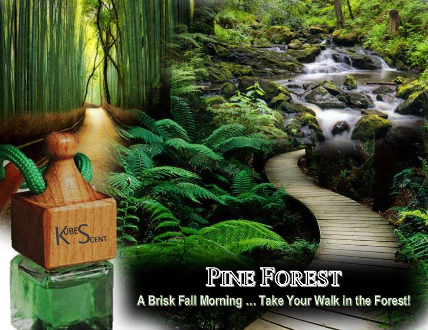 Image of Pine Forest Car Air Freshener